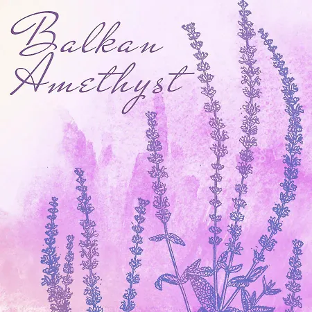 Arte Oliva 4* Grebaštica