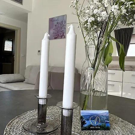 krevet i doručak Arte Oliva