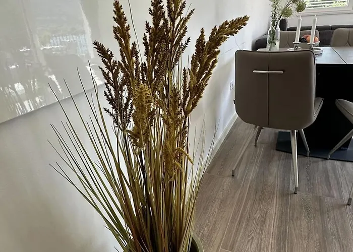 Bed & Breakfast Arte Oliva 4*